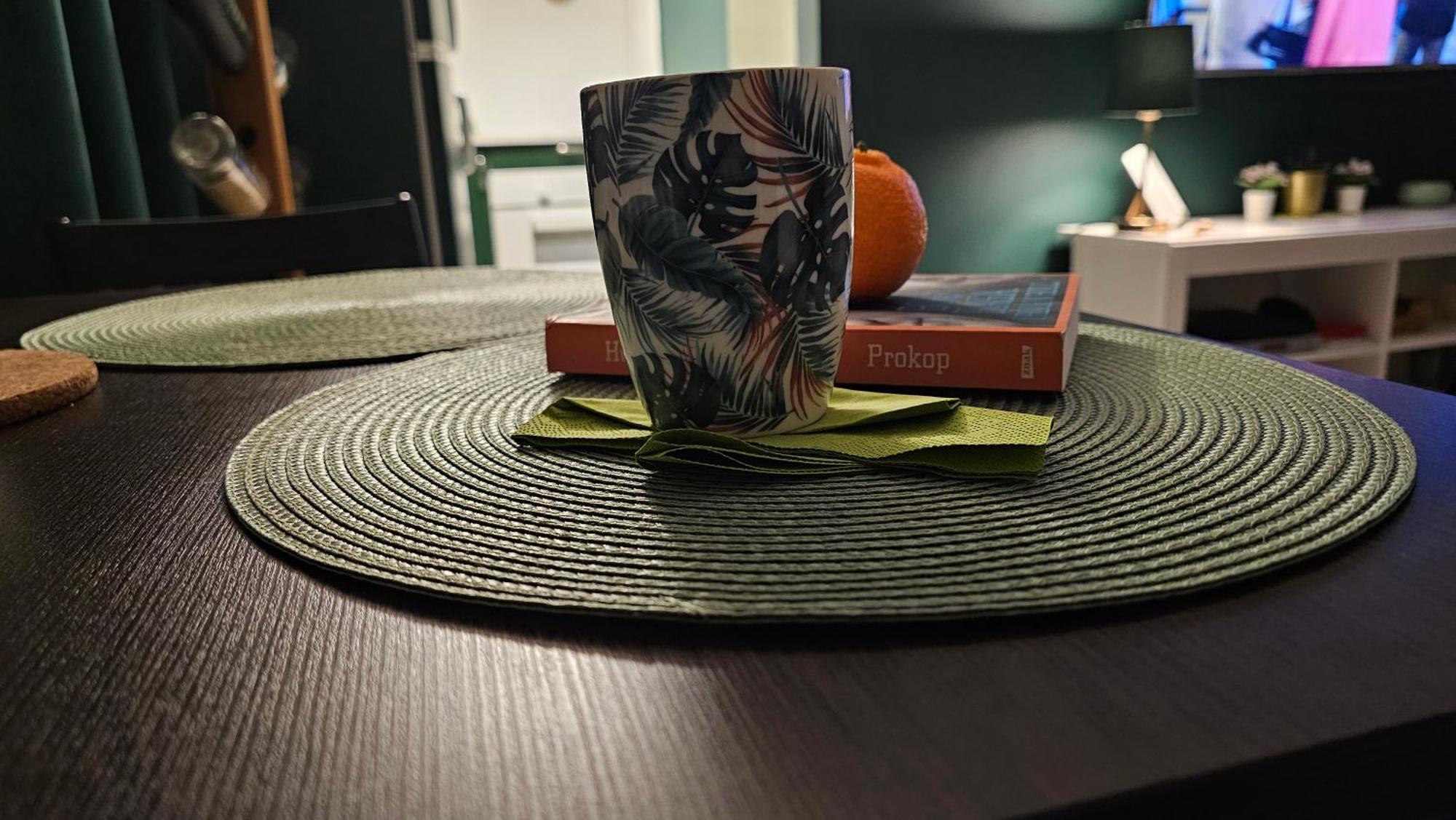 Zielona Przystan Apartment *