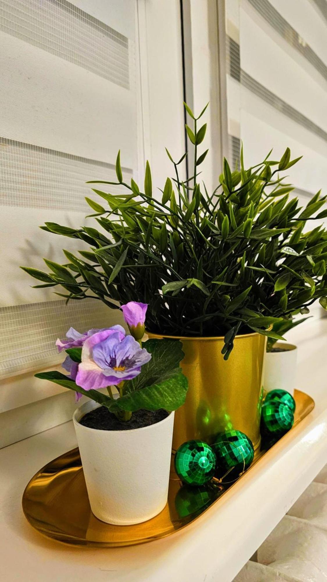 Zielona Przystan Apartment Gdansk